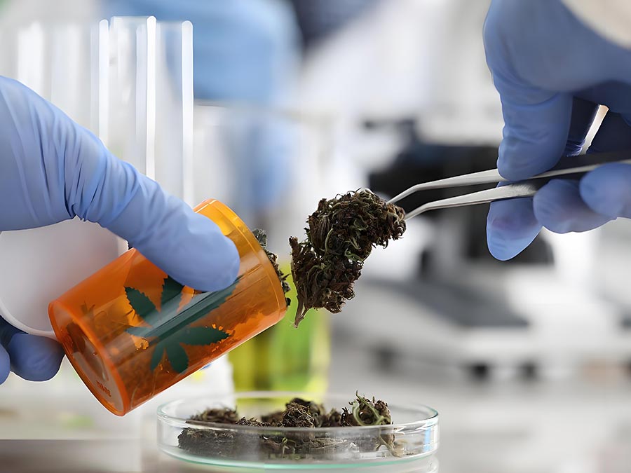 土壤农药残留检测的常用方法有哪些，哪种方法最准确可靠？‌