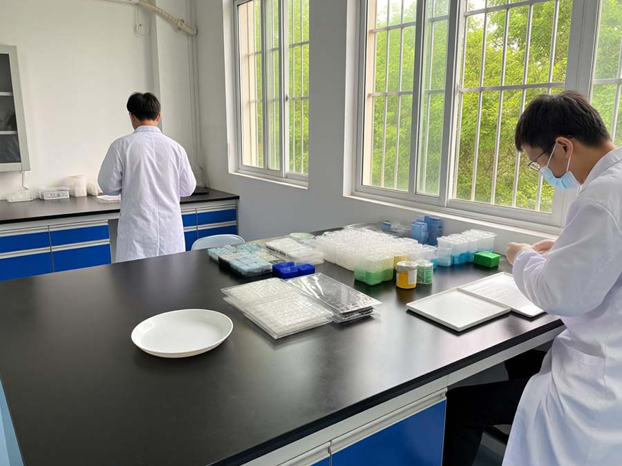 高分子材料检测过程中需要注意哪些技术细节问题？